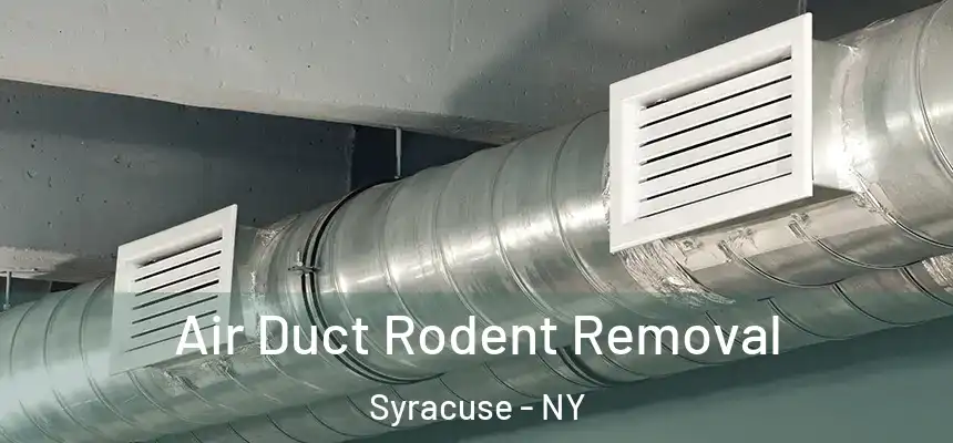  Air Duct Rodent Removal Syracuse - NY