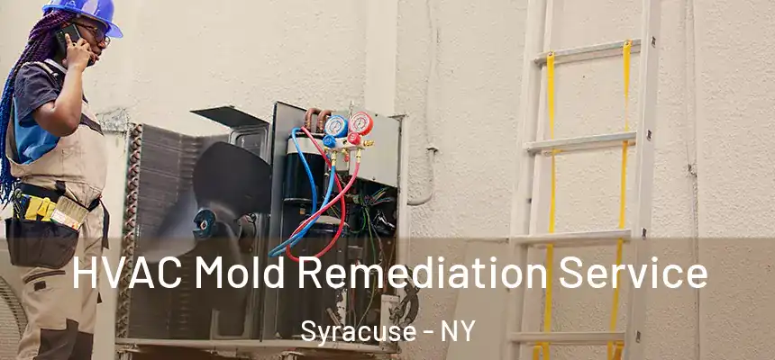  HVAC Mold Remediation Service Syracuse - NY