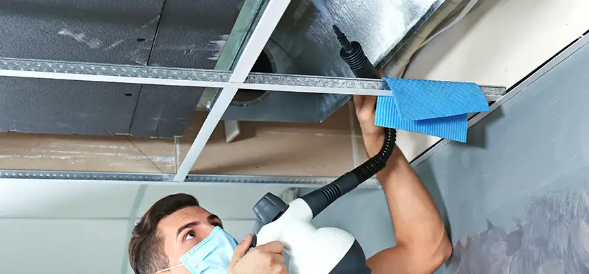 Our Air Duct Rodent Removal Services in Syracuse, NY