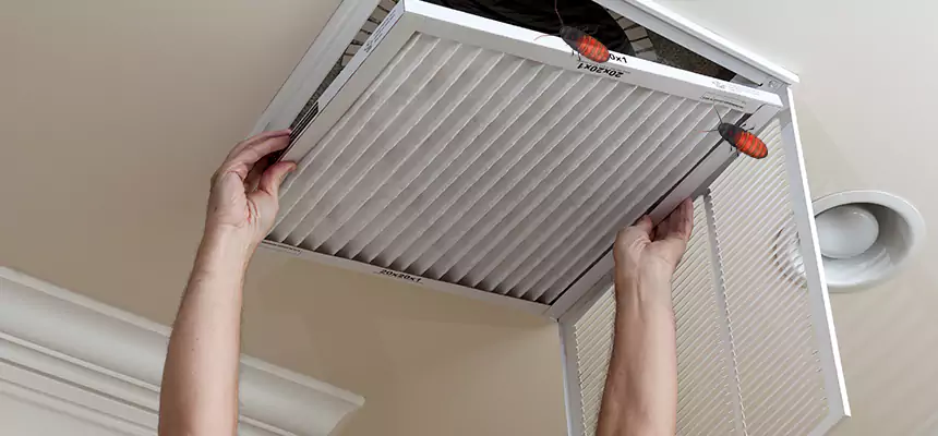 Our Insect Removal from Air Ducts Services in Syracuse, NY
