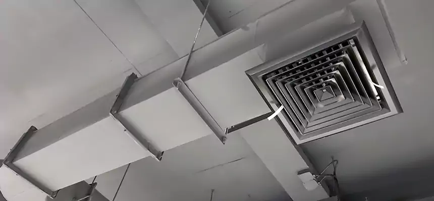 Our Pest Removal From Ducts Services in Syracuse, NY