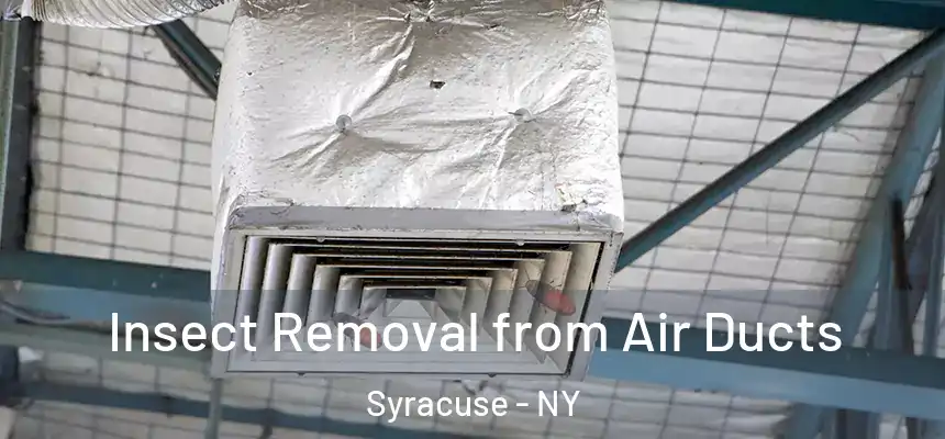  Insect Removal from Air Ducts Syracuse - NY