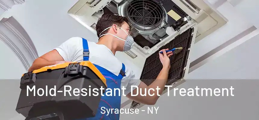  Mold-Resistant Duct Treatment Syracuse - NY