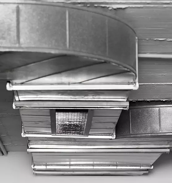 Professional Air Duct Pest Removal in Syracuse, NY