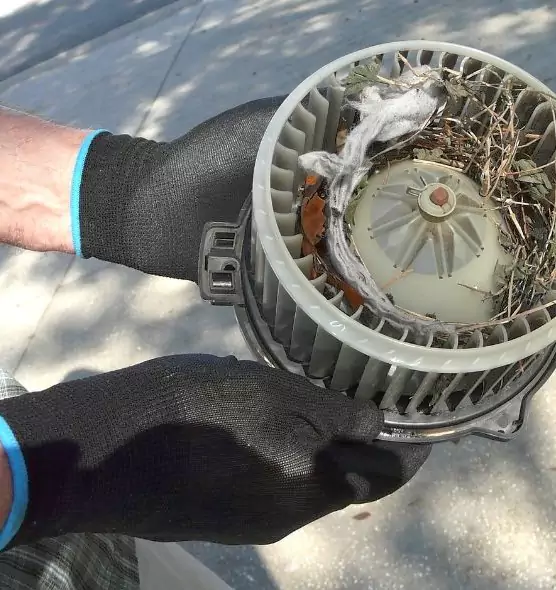 About Air Duct Rat Removal in Syracuse, NY