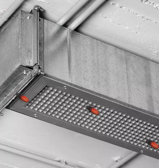 Affordable Insect Removal from Air Ducts in Syracuse, NY